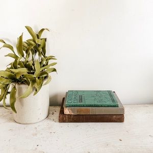 Green and Brown Vintage Book Set